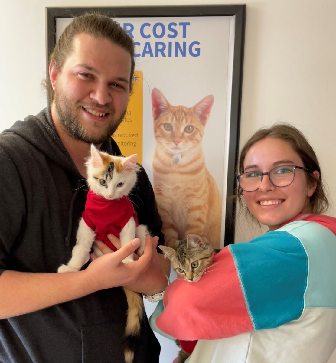 Los gatitos con necesidades especiales tienen la segunda oportunidad que se merecen