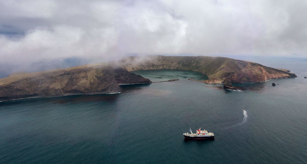 Saya de Malha: un tesoro escondido de ballenas y delfines en el Océano Índico