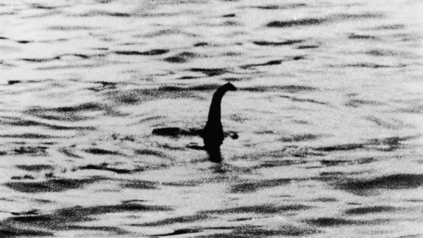¿Has visto Bigfoot o el monstruo del lago Ness?  Los datos sugieren que las probabilidades son bajas