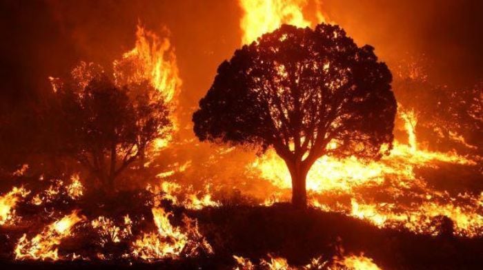 Un científico demuestra que la política, no la ciencia, impulsa el alarmismo climático al publicar el artículo Flimflam