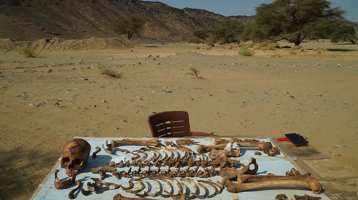 La ideología de género extrema llega a la Asociación Antropológica Estadounidense