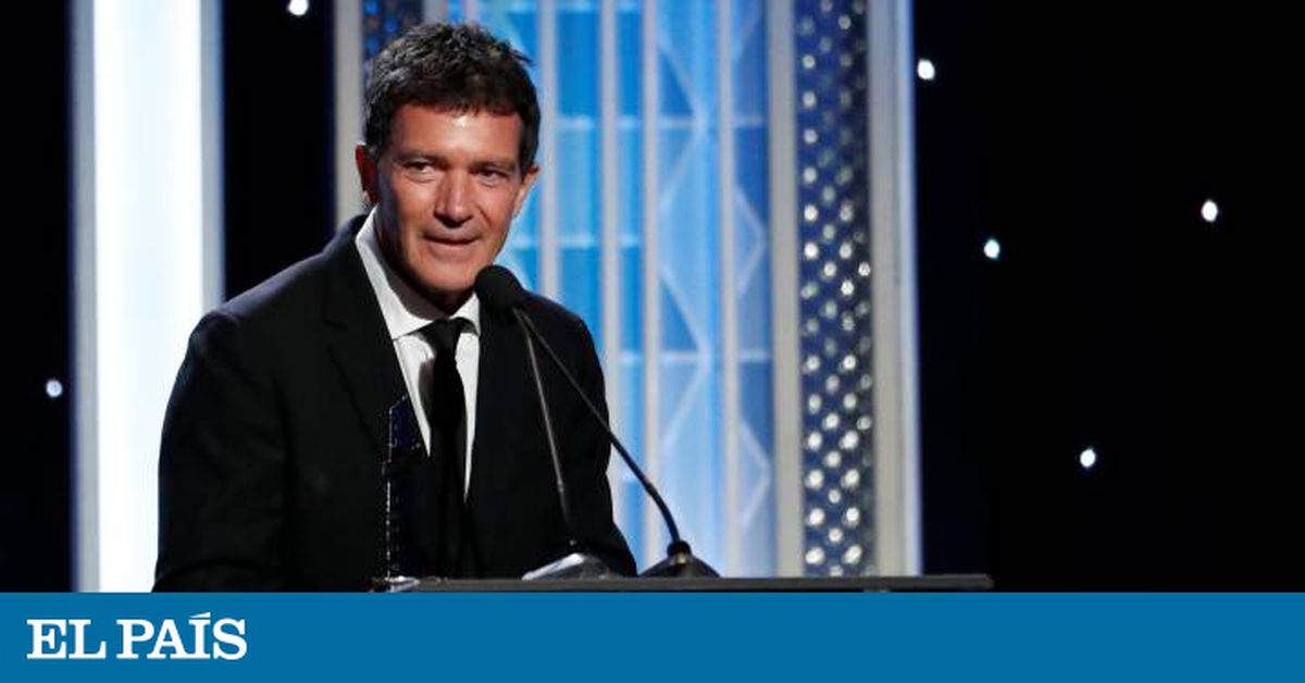 Premios de la Academia 2020: ¿Es el español Antonio Banderas un ‘actor de color’?  |  Cultura