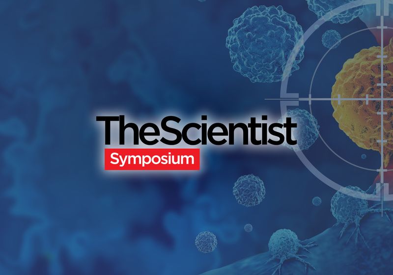 Nuevas estrategias para la inmunoterapia contra el cáncer