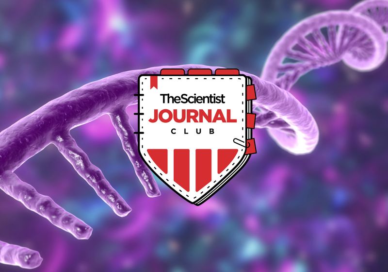 The Scientist’s Journal Club: Transcriptómica