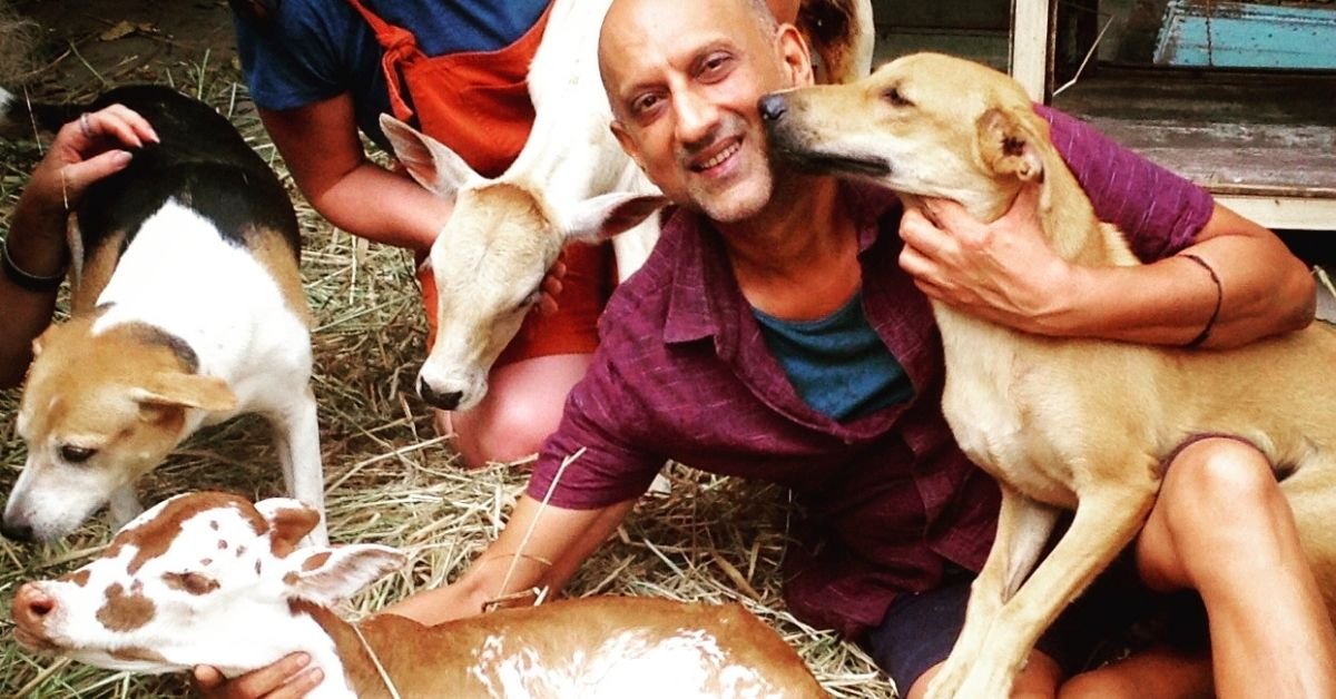Más de 15.000 animales heridos han sido rescatados por este heroico empresario