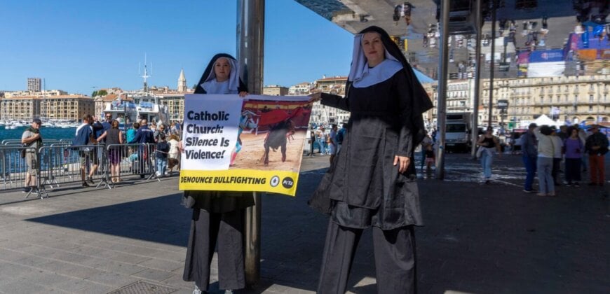 Las ‘monjas gigantes’ piden al Papa Francisco que ponga fin a los vínculos de la Iglesia con las corridas de toros