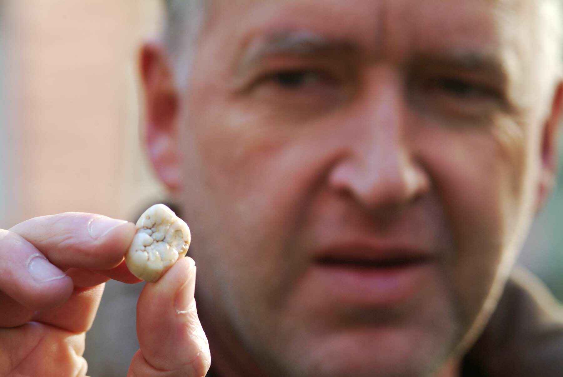¿Existen los gigantes? ¿Qué dice la evidencia sobre los gigantes de la vida real?