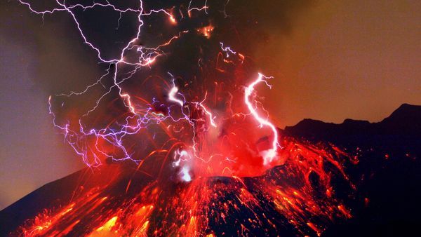 Los mamíferos podrían extinguirse en el nuevo supercontinente Pangea Ultima