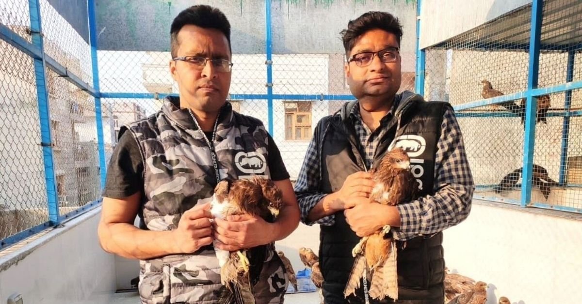 Mira cómo dos hermanos rescataron a 23.000 aves heridas en una clínica improvisada en el sótano