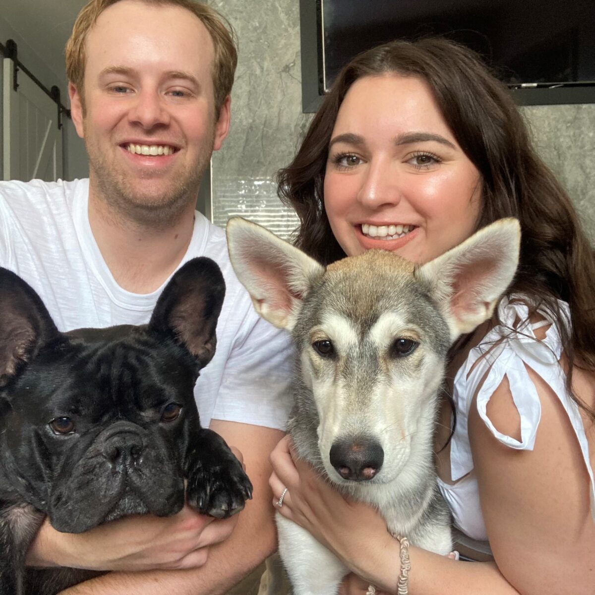 ¿Estás listo para adoptar un perro?