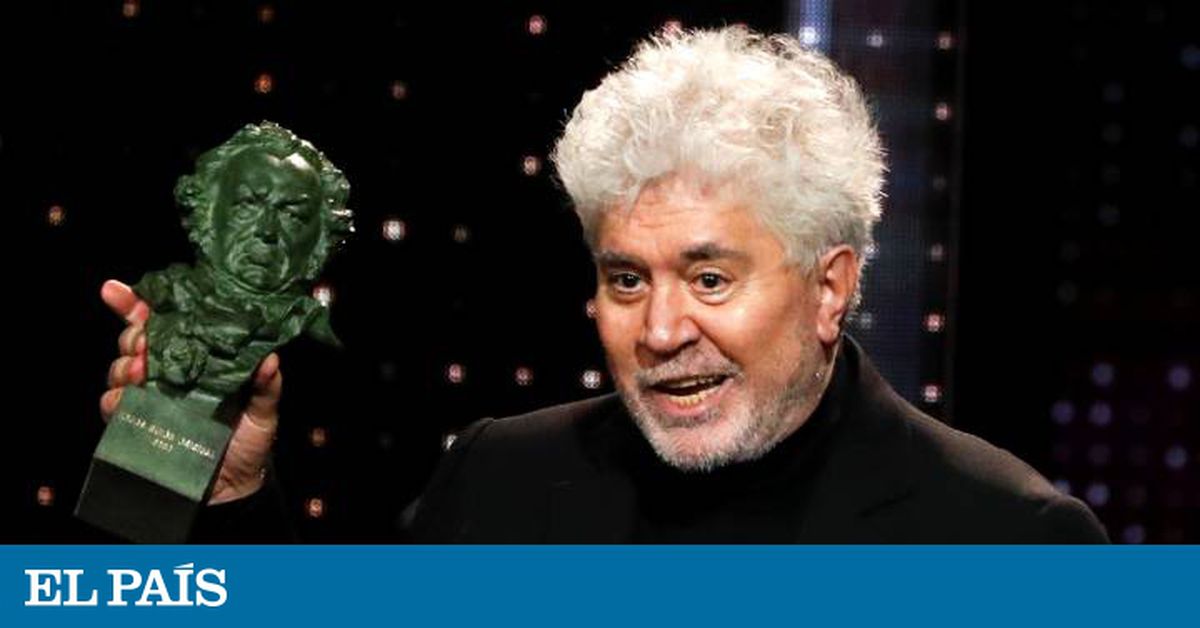Premios del cine español 2020: el cineasta Pedro Almodóvar triunfa en los Premios Goya de España |  Cultura