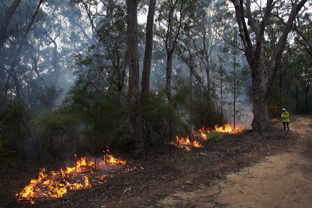 La ola de calor se va, pero los incendios forestales persisten mientras El Niño comienza con ráfagas de viento en Australia