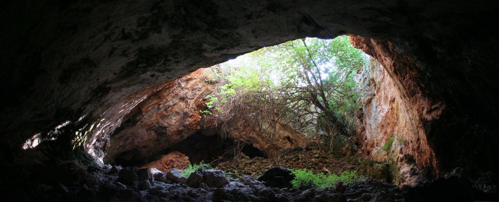 Los humanos neolíticos utilizaron los huesos de los muertos con un propósito poco ortodoxo: ScienceAlert