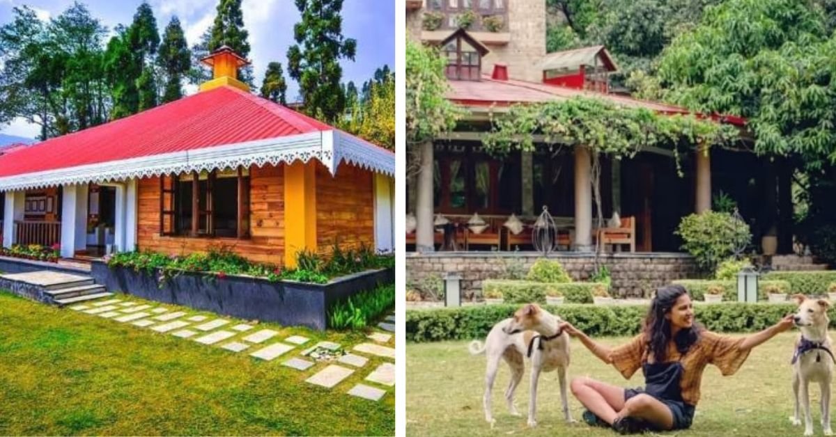 10 casas de familia que admiten mascotas para ayudarte a explorar la India con tu amigo peludo