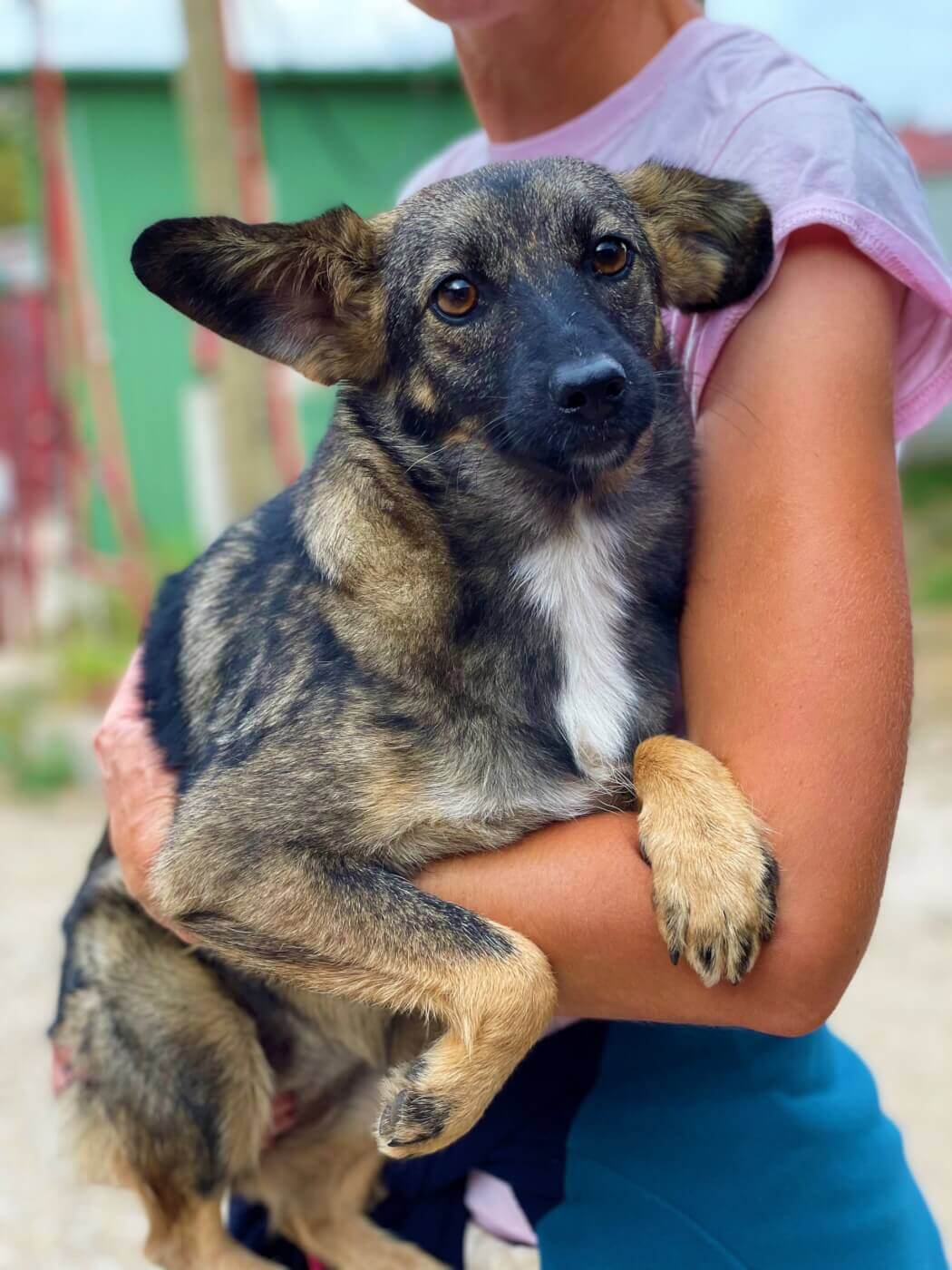 PETA Alemania salva vidas en Ucrania