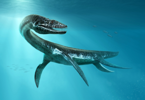 5 de los reptiles marinos prehistóricos más interesantes