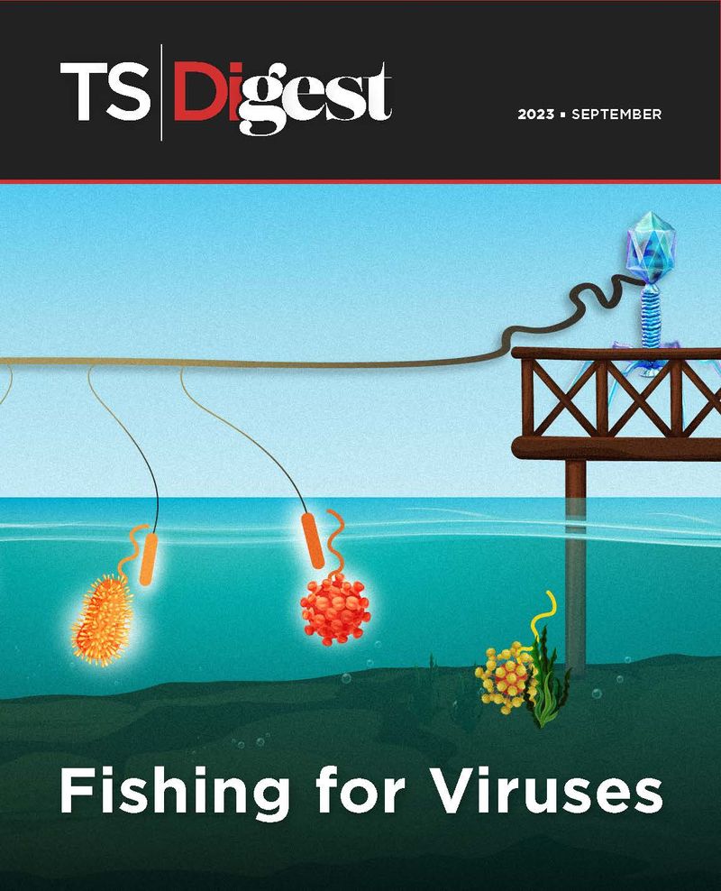 Problema del resumen de TS |  Septiembre 2023 |  Pesca de virus