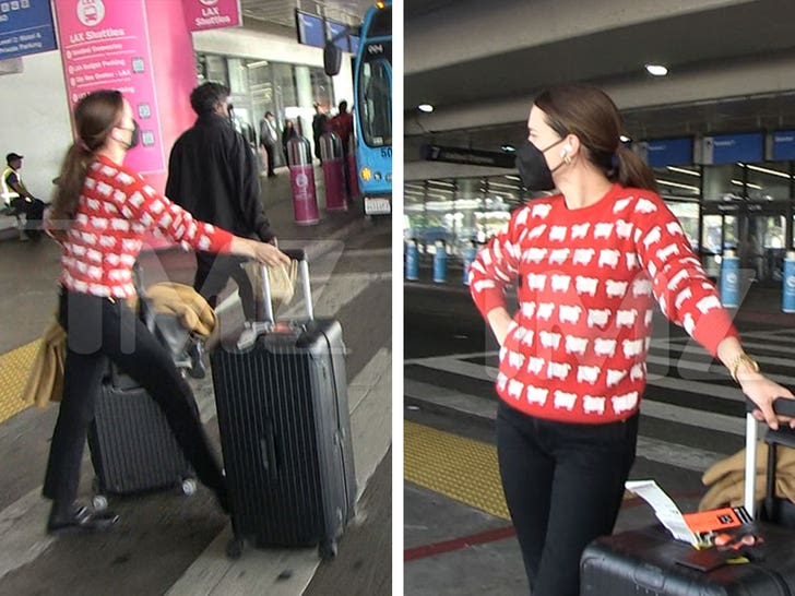 Sophia Bush fue notada por primera vez desde que cortejó a la estrella del USWNT Ashlyn Harris