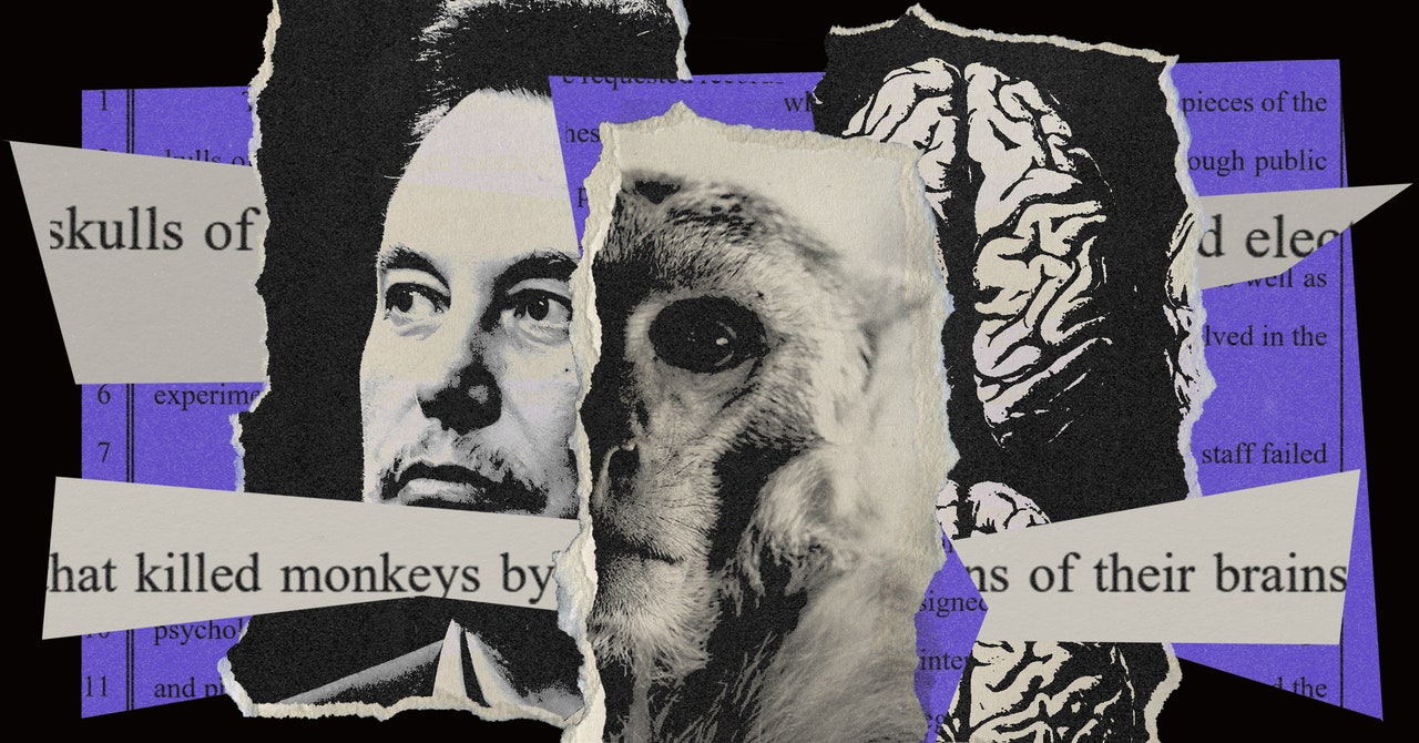 Cómo Neuralink mantiene en secreto las fotos de monos muertos