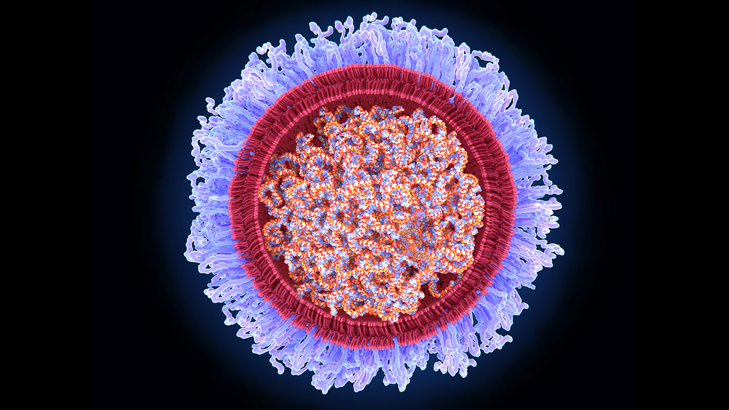 Las primeras investigaciones sobre ARNm que condujeron a las vacunas COVID-19 ganan el Premio Nobel de Medicina 2023