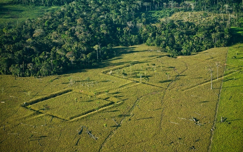 10.000 estructuras precolombinas podrían esconderse debajo de la selva amazónica