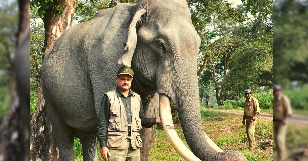 Elephant Doctor trata más de 700 jumbos por año