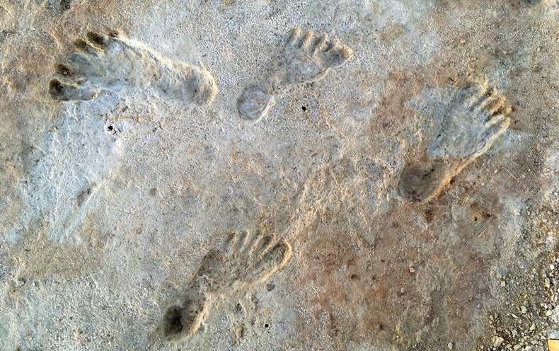 Huellas antiguas afirman que la gente vivió en América hace más de 20.000 años