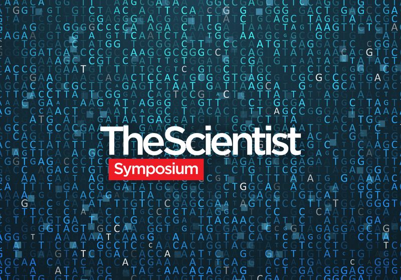 Nuevas estrategias para descubrir genes de enfermedades humanas