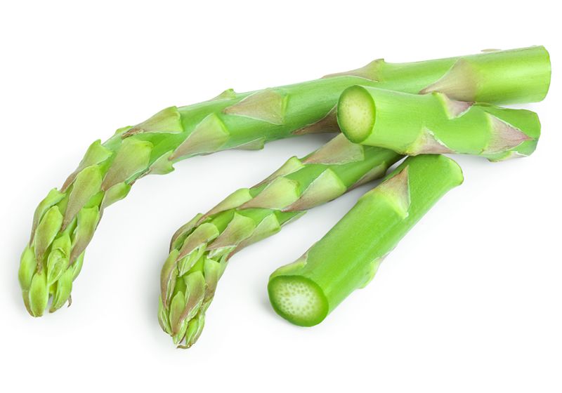 Alimento para el pensamiento: una receta para regenerar los nervios