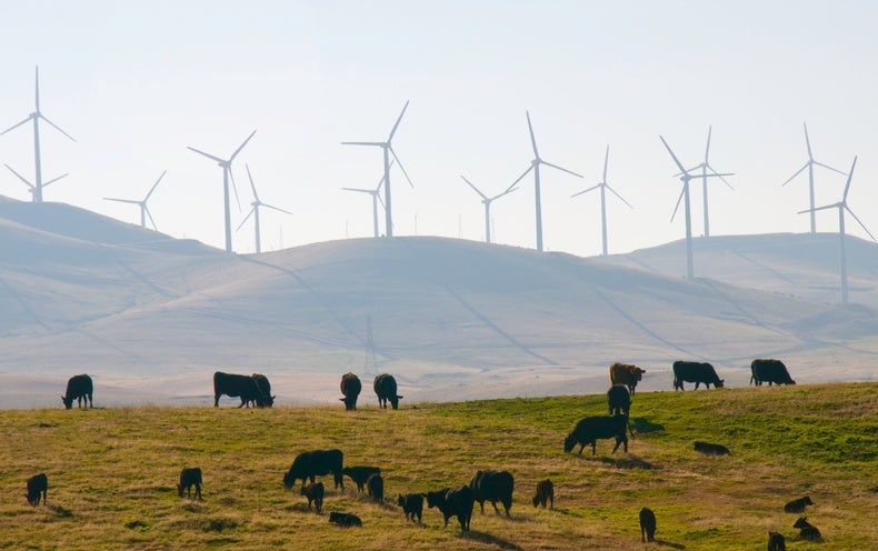 La energía eólica se expandirá con turbinas más grandes, pero podría enfrentar un retroceso