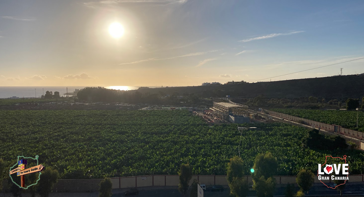Octubre abrasador: alerta naranja histórica para las Islas Canarias sudando bajo temperaturas casi récord : The Canary News