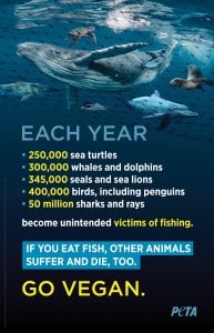 Quienes viajan en autobús buscan pescado vegano gratuito y una gran advertencia de PETA