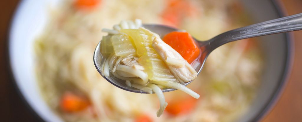 La sopa de pollo ha sido un remedio durante miles de años… ¿pero por qué?  : Alerta científica
