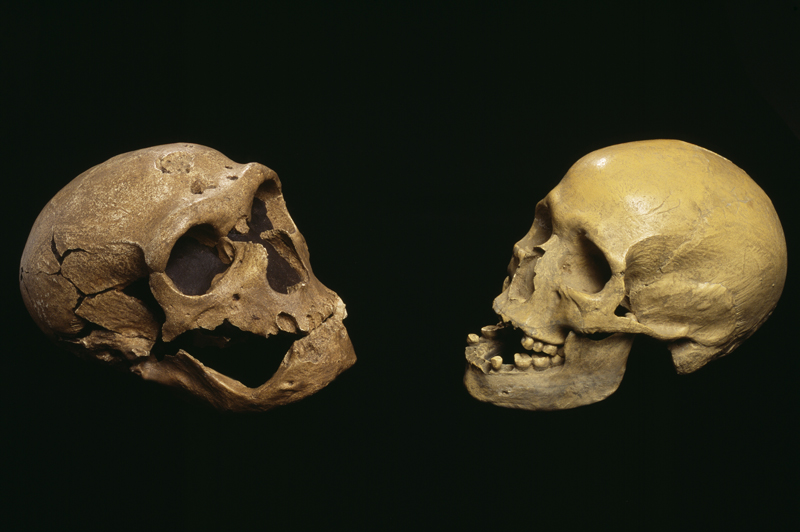 El ADN neandertal transmitido a lo largo de milenios hace que los humanos modernos sean más sensibles al dolor