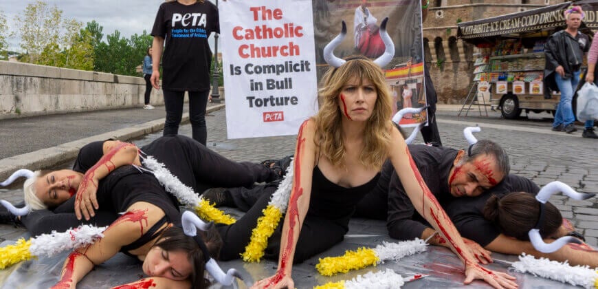 PETA insta al Papa a cortar los vergonzosos vínculos de la Iglesia católica con las corridas de toros