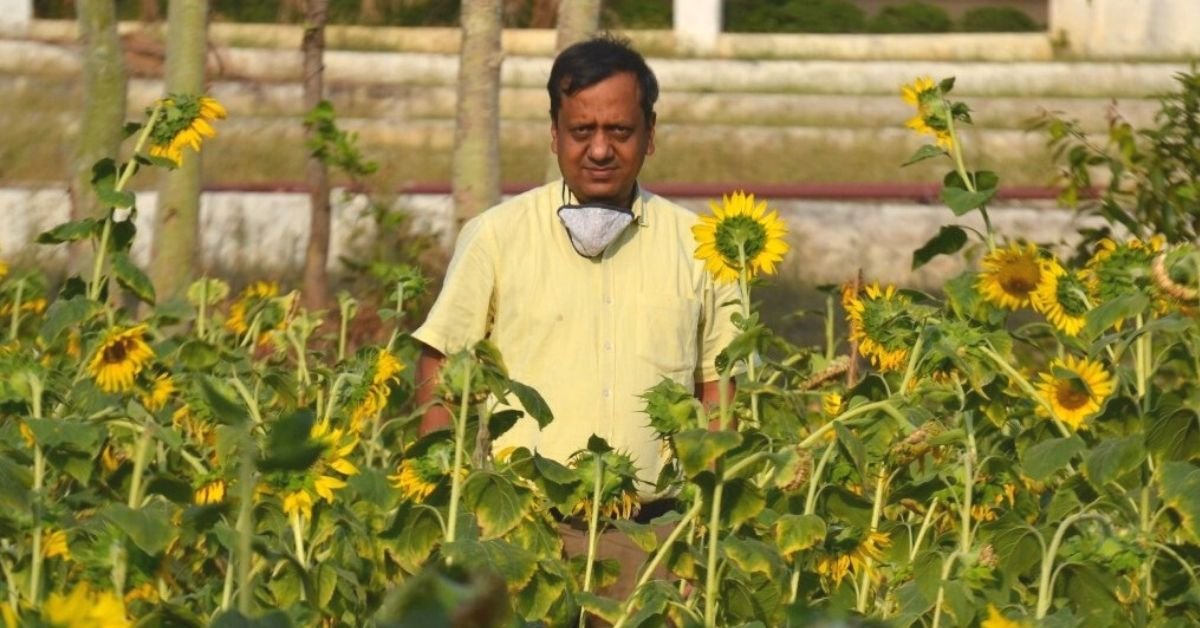 ¡El director de Odisha College cultiva medio acre de girasoles y alimenta a 500 periquitos al día!