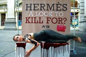 Declaración de PETA sobre el regalo de Offset de bolsos de piel de animal a Cardi B