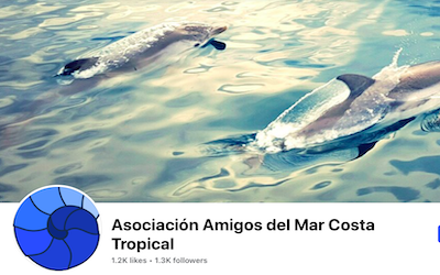 Festival del Mar 2023 |  Noticias Gaceta Costa Tropical