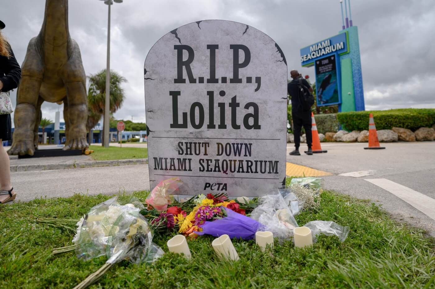 Lo que reveló la necropsia de la orca Lolita