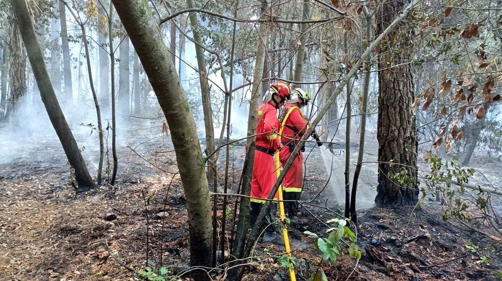 Se intensifica la reactivación de los incendios forestales en Tenerife, lo que provoca evacuaciones en condiciones sin precedentes : Noticias de Canarias