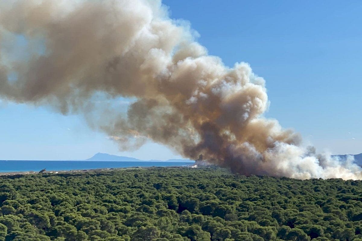 Un pirómano forestal ‘loco’ que usó cócteles molotov fue revelado como abogado en Valencia
