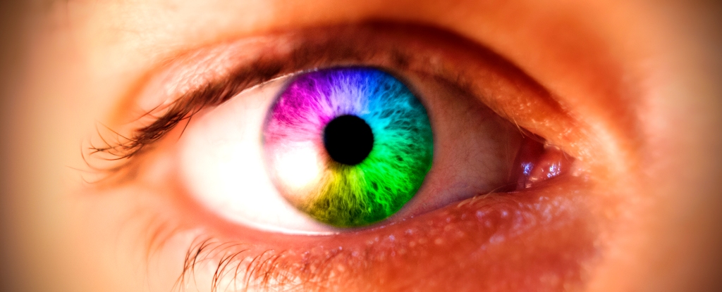 Lo que hueles puede cambiar la forma en que percibes el color: ScienceAlert