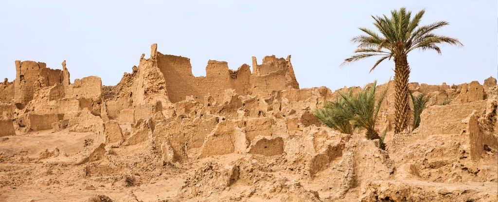 Esta antigua sociedad sobrevivió al desierto del Sahara con una única fuente de agua: ScienceAlert