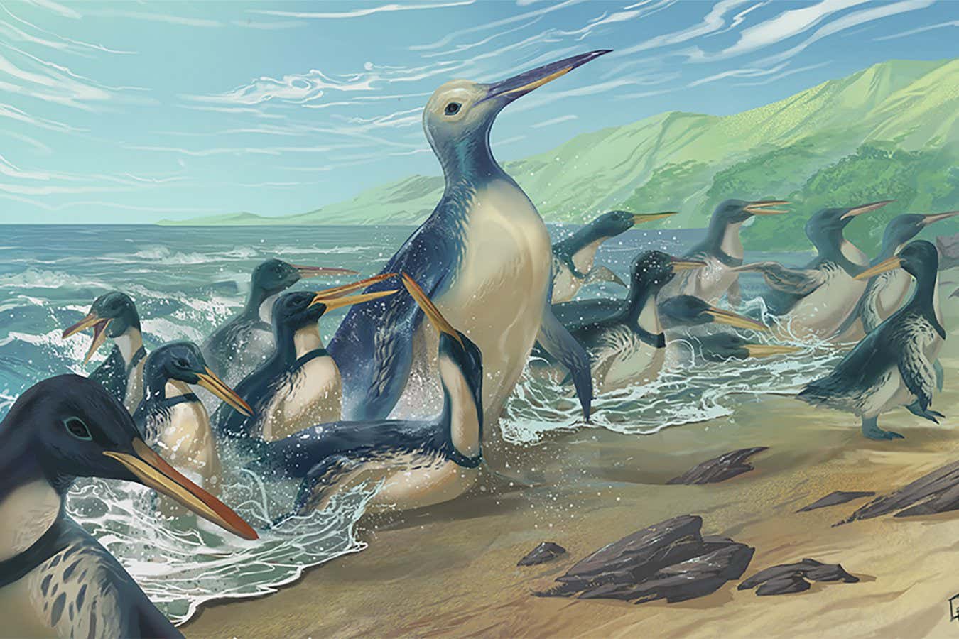 Megapingüinos: la especie de pingüino más alta, más grande y más sorprendente que jamás haya existido