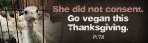 Actualización: PETA llegará a E-Town con Tofurky todos contra todos
