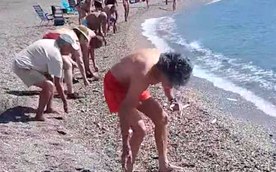 ¡Sorpresa de sardina!  |  Noticias Gaceta Costa Tropical