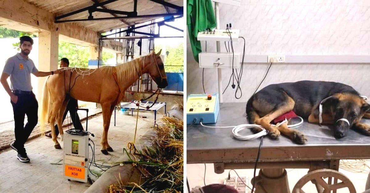 Una familia utiliza tecnología de la NASA para curar animales un 50% más rápido y con un costo de 1/5