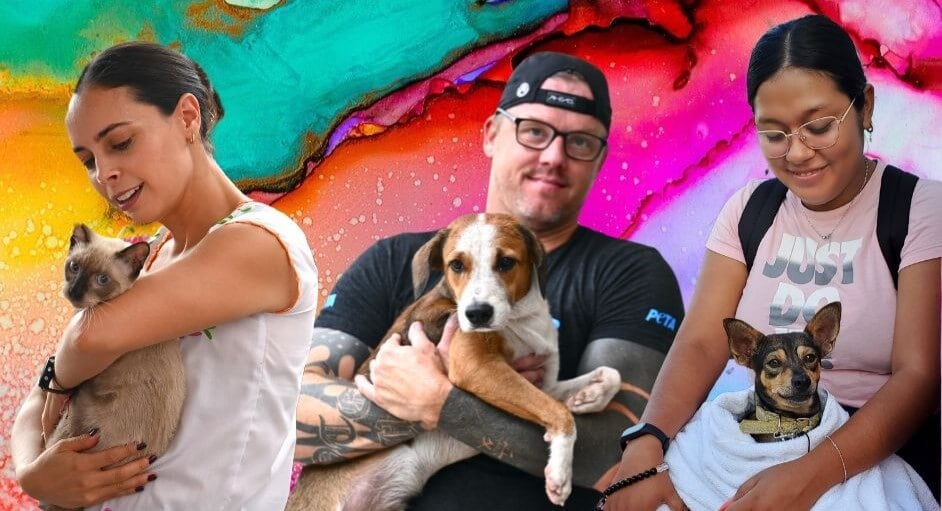 230 animales esterilizados o castrados gracias a PETA Latino
