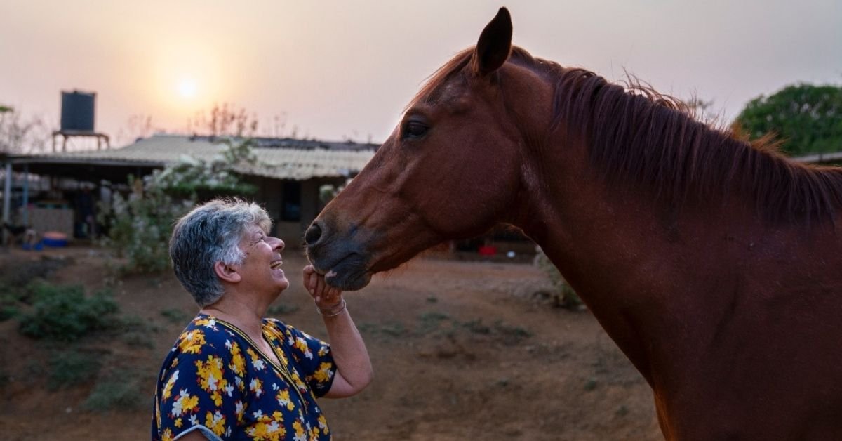 Dentro del ‘paraíso’ de una dama parsi de 69 años para 431 animales rescatados