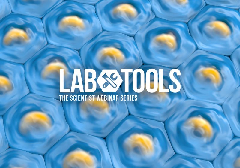 Mejora de la proteómica del microambiente tumoral mediante biología espacial